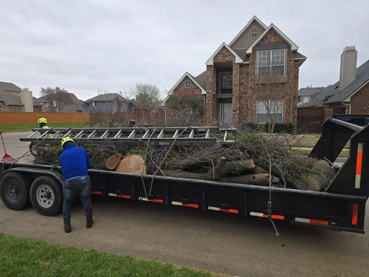Expert Lot Clearing with proper safety equipment in Washington
